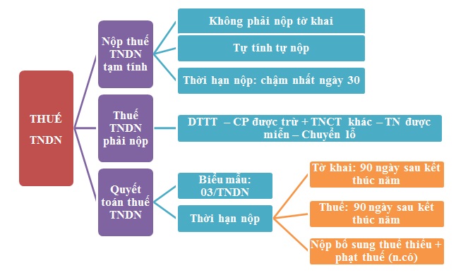 Quy trình quyết toán thuế TNDN tại TP Bảo Lộc